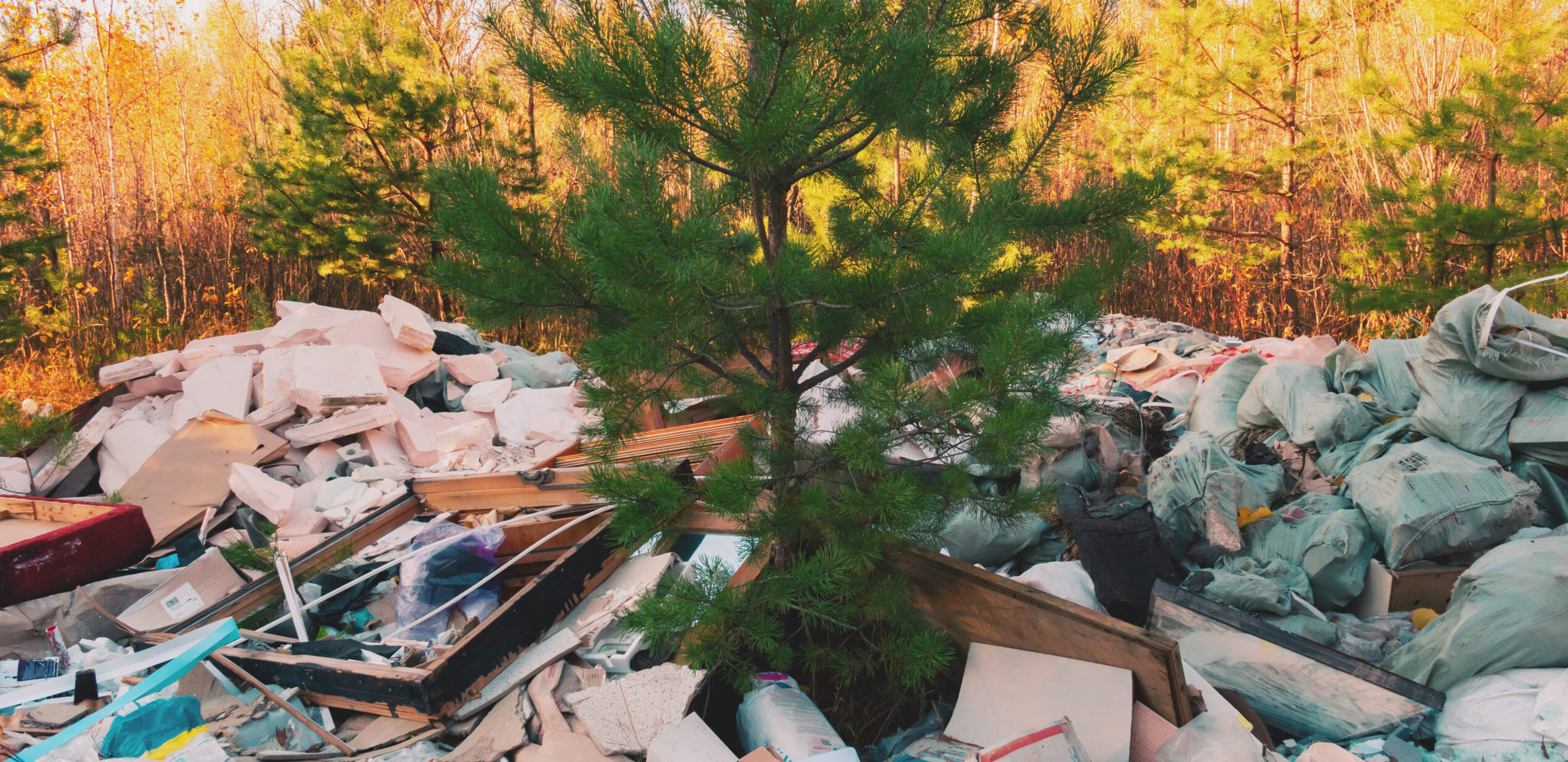 trashes