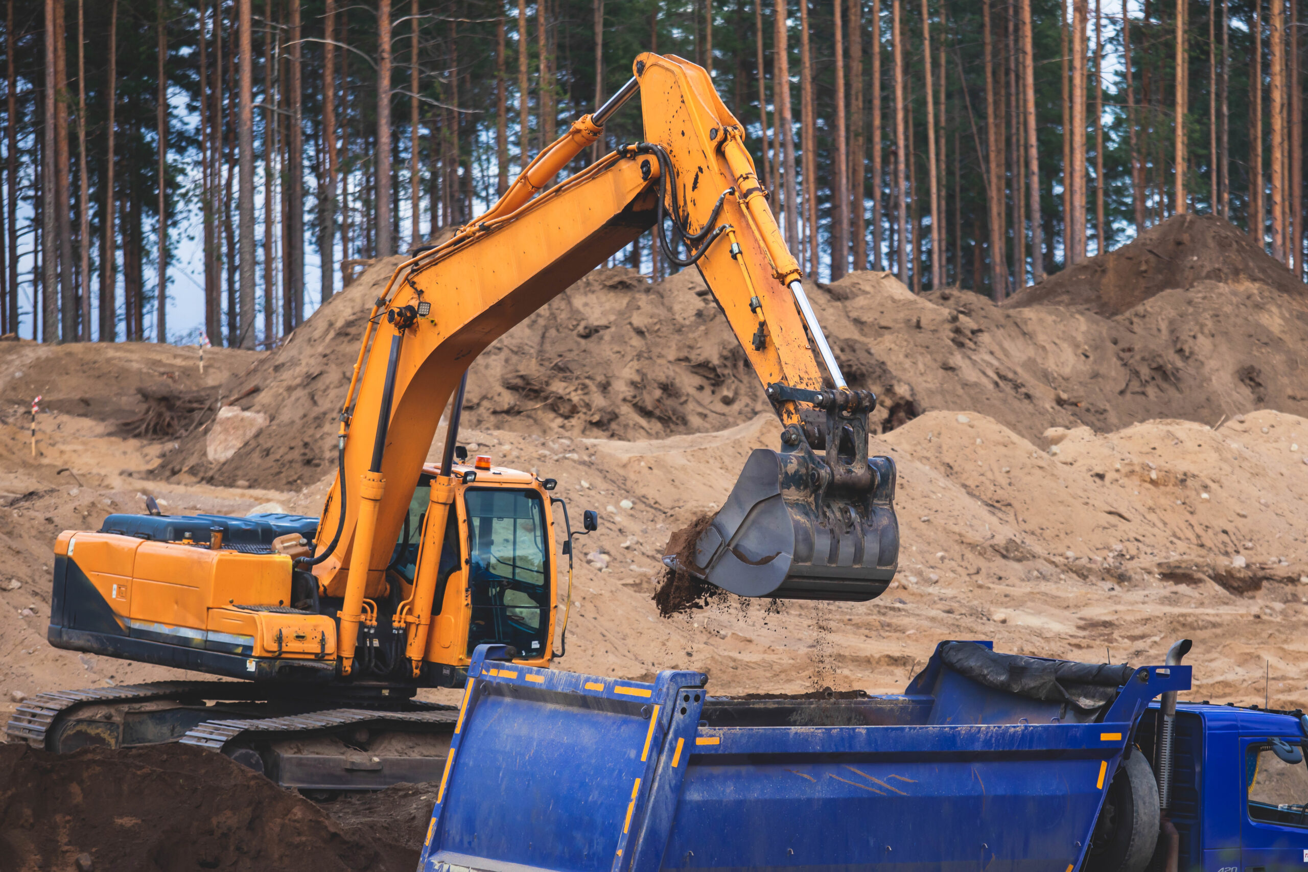 Legal action over unauthorised land clearing in protected zones