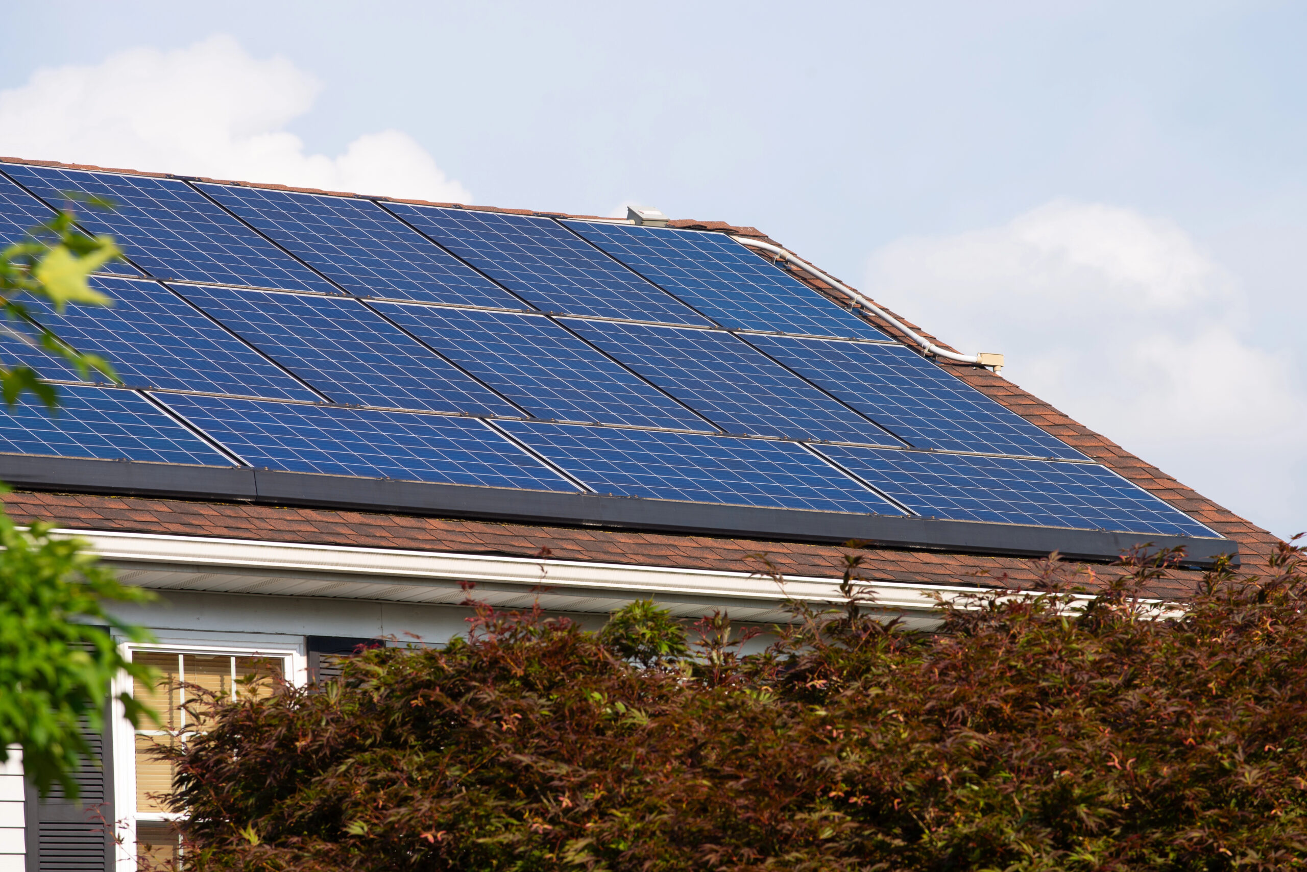 False Promises of Energy Savings: When Solar Energy Fraud Leads to Class Actions