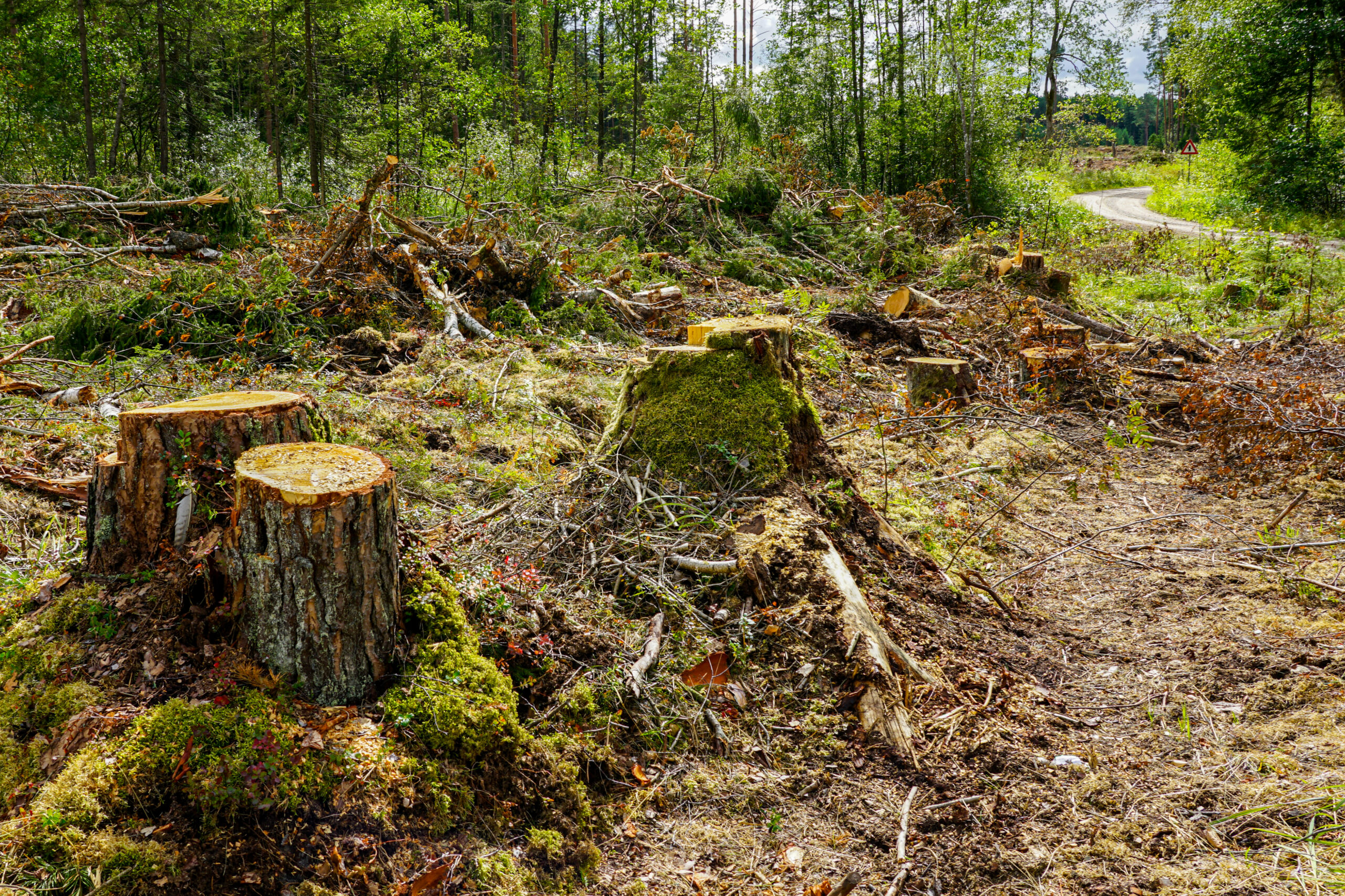 Legal action over unauthorised land clearing in protected zones